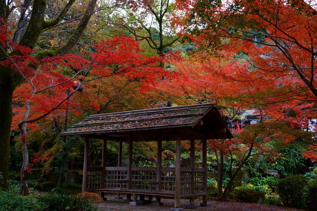 岐阜公園