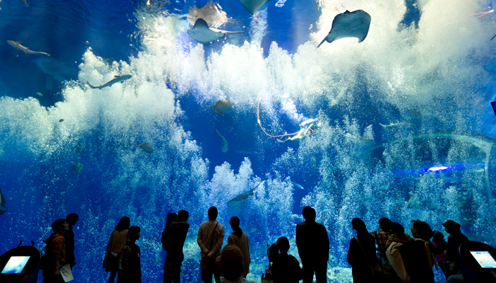 アクアワールド茨城県大洗水族館