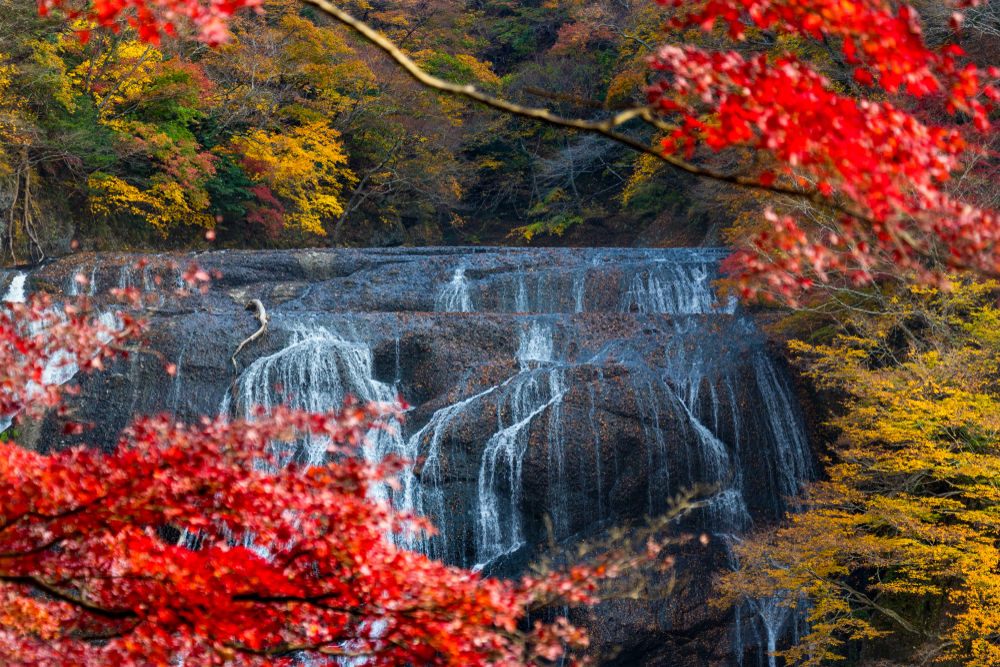 袋田の滝