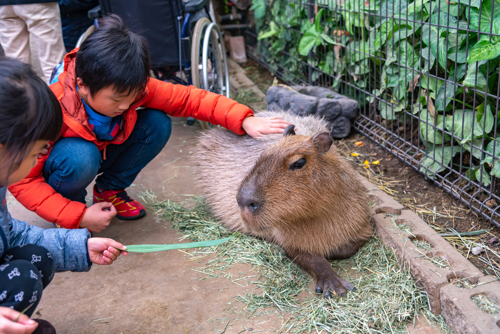 神戸動物王国