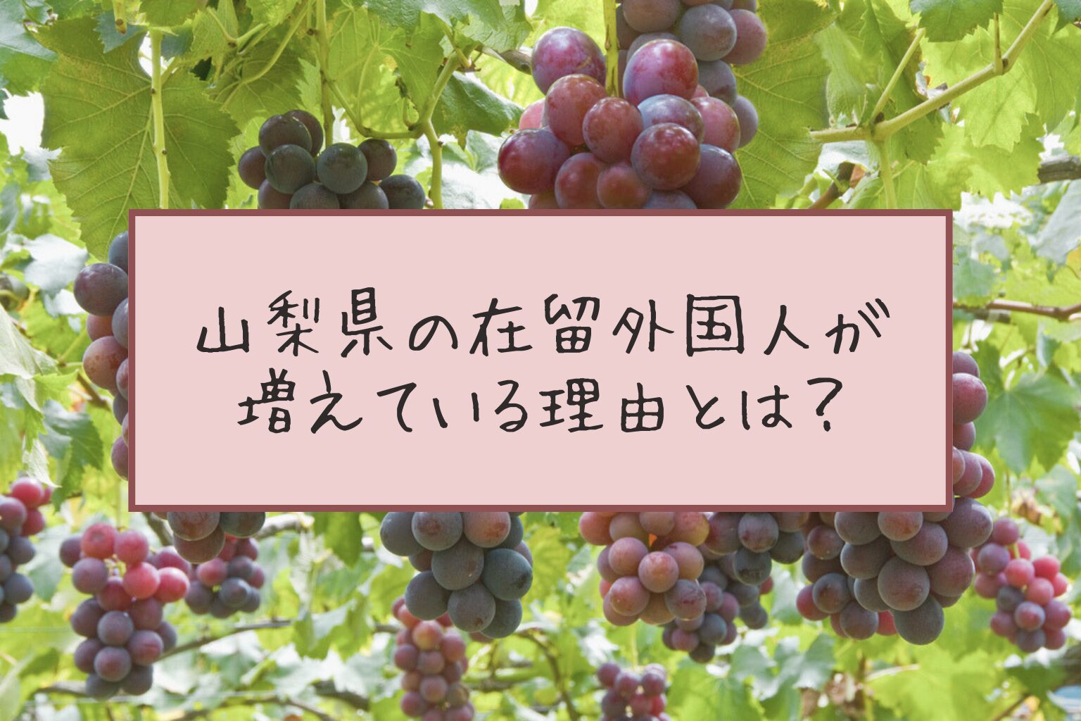 山梨県の在留外国人が増えている理由とは？　働く理由や生活の魅力、外国人労働者の現状とサポート体制を深掘り！